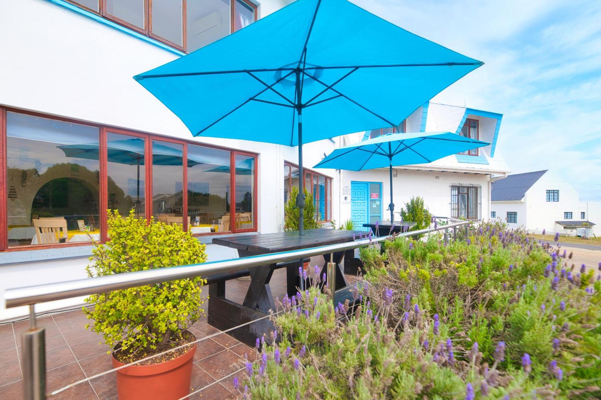 Mermaid Guest House Struisbaai Zewnętrze zdjęcie